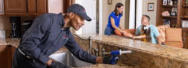 Best Residential Pest Control  in Preakness, NJ